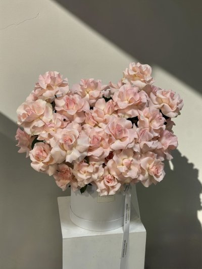 40 Hand-Flexed Pink Roses Premium Box